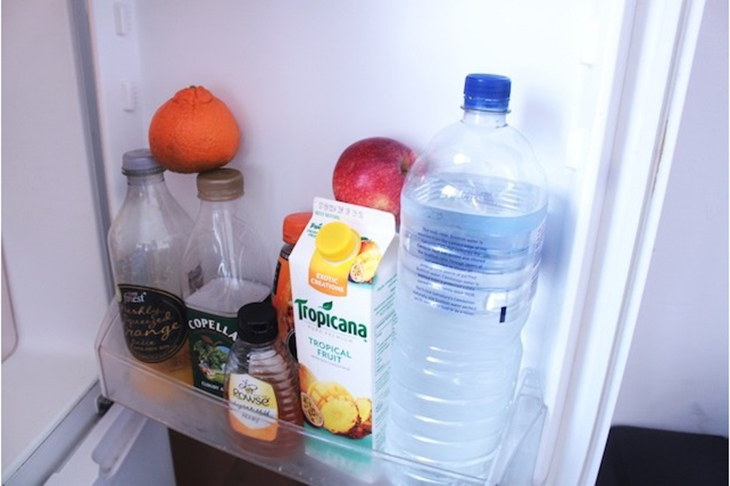 Never put temperature-sensitive foods such as milk and raw meat in the storage compartment on the door