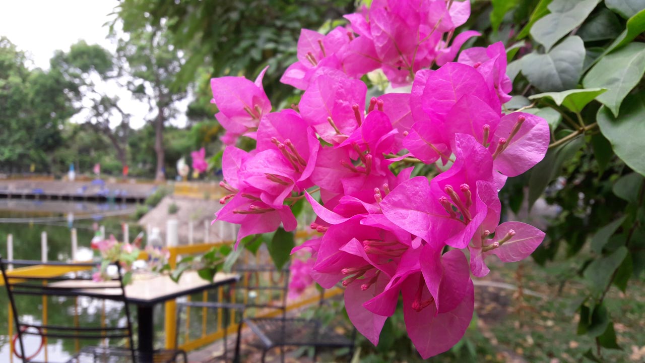 Đánh giá Galaxy J7 2016