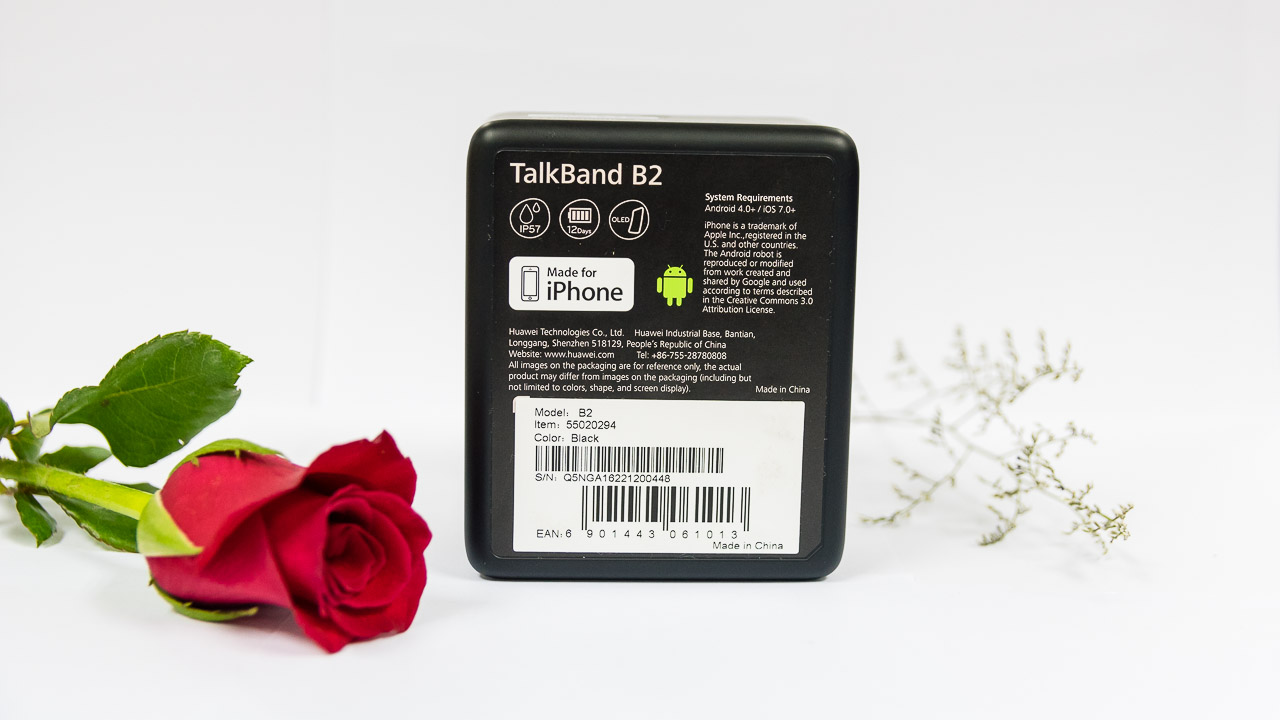 talkbandb216