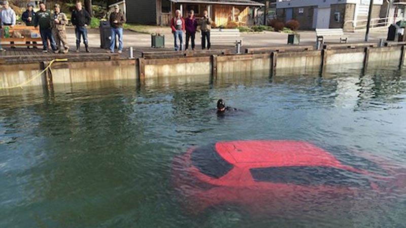 Mải mê lái xe theo chỉ dẫn GPS, cô gái trẻ lao xuống hồ nước lạnh giá