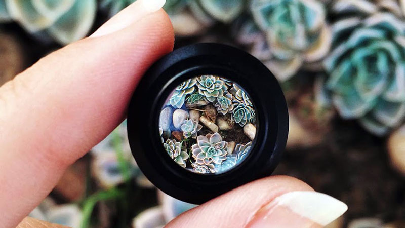 camera-macro-smartphone