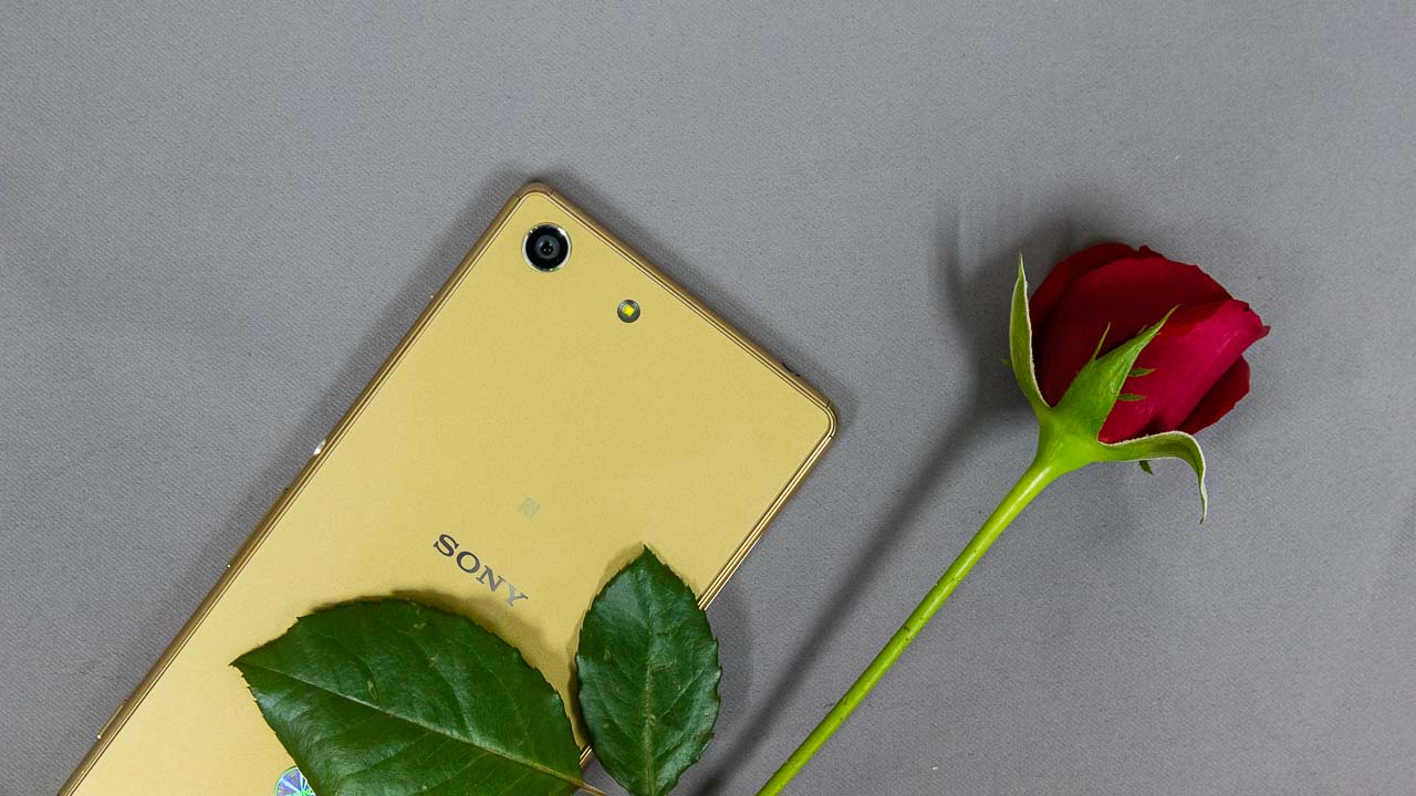 xperiam5singlesim8 xperiam5singlesim8