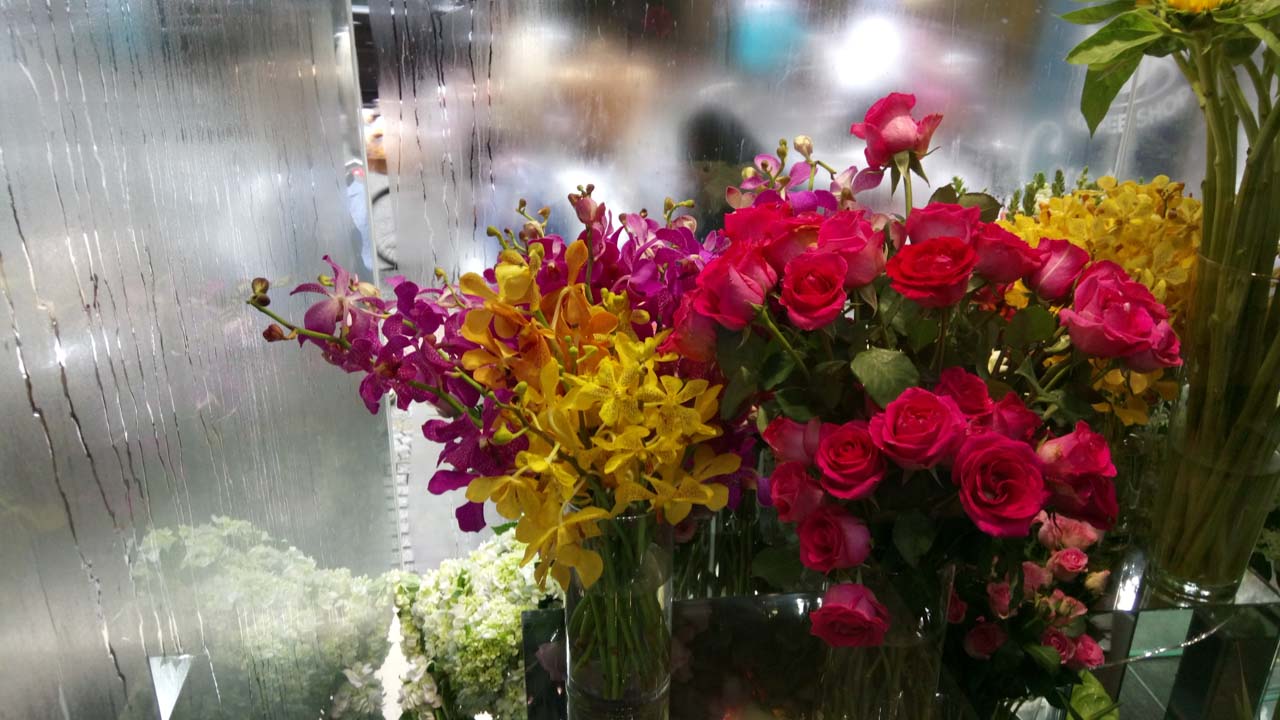 xperiaxa15 xperiaxa15