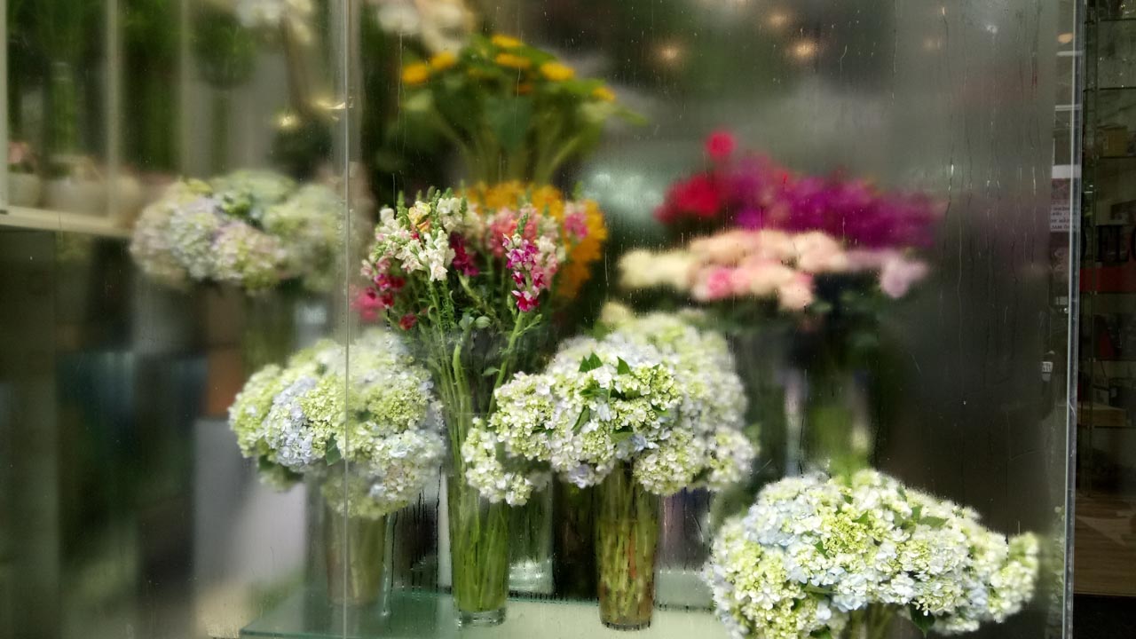 xperiaxa15 xperiaxa15