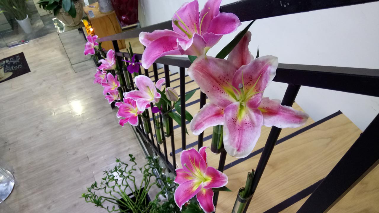 xperiaxa15 xperiaxa15