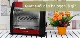 Quạt sưởi đèn halogen là gì? Những điều bạn nên biết