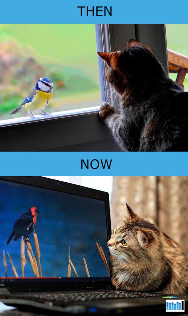 cats-then-now-funny-technology cats-then-now-funny-technology