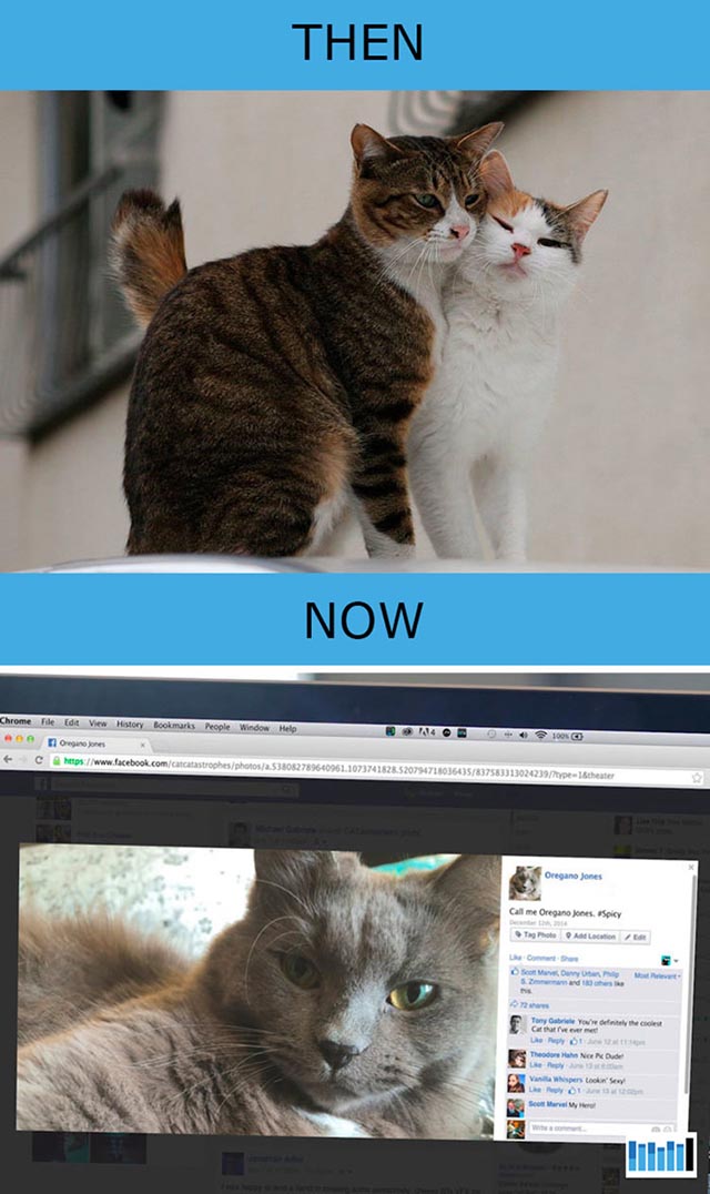 cats-then-now-funny-technology cats-then-now-funny-technology