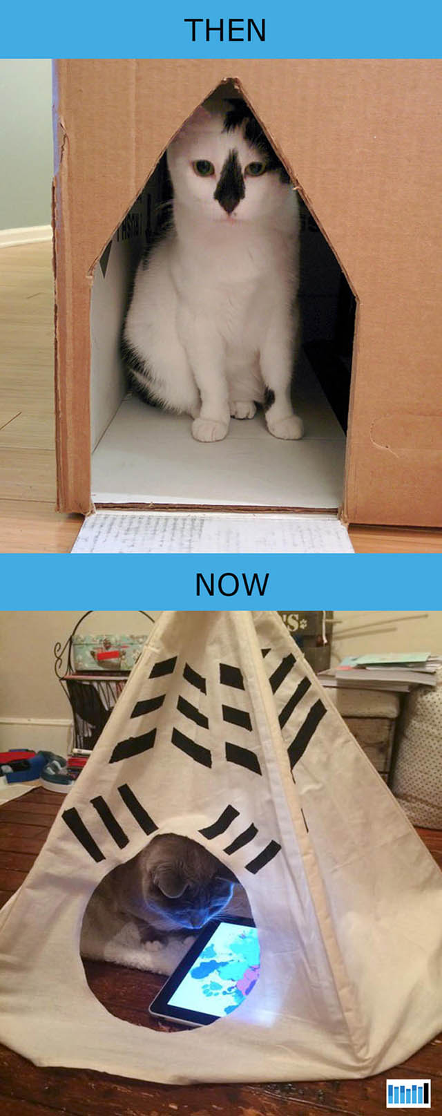 cats-then-now-funny-technology cats-then-now-funny-technology