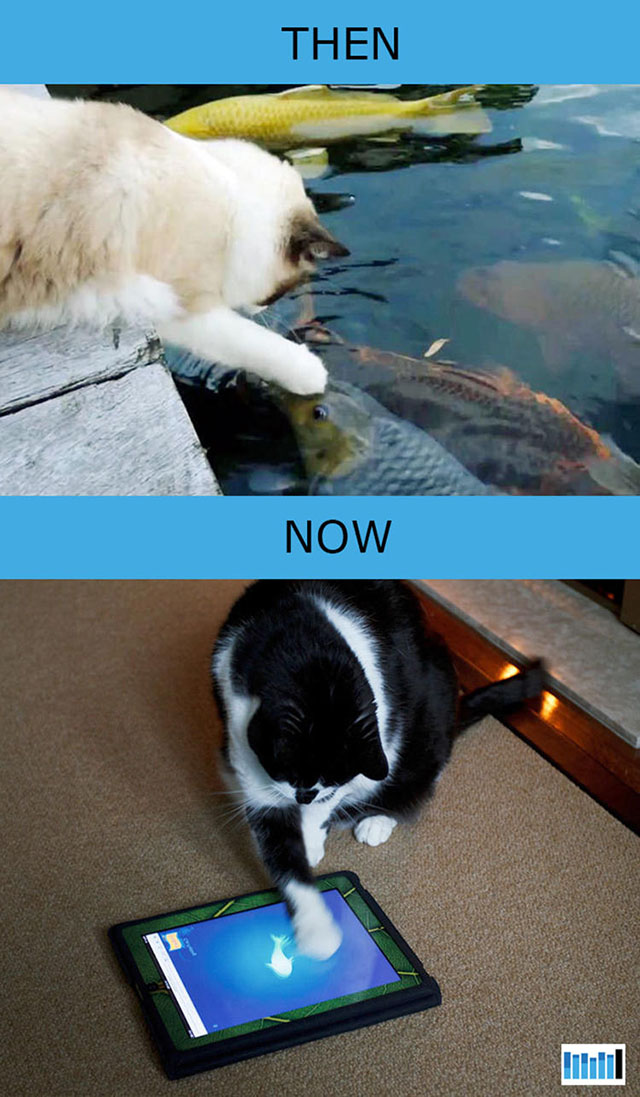 cats-then-now-funny-technology cats-then-now-funny-technology