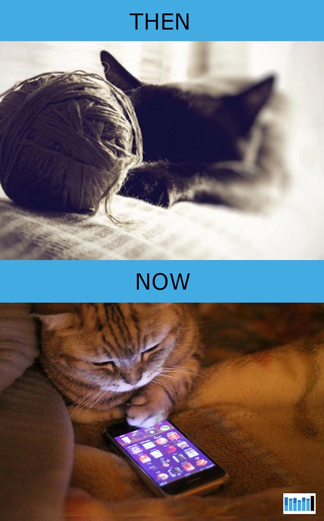 cats-then-now-funny-technology cats-then-now-funny-technology