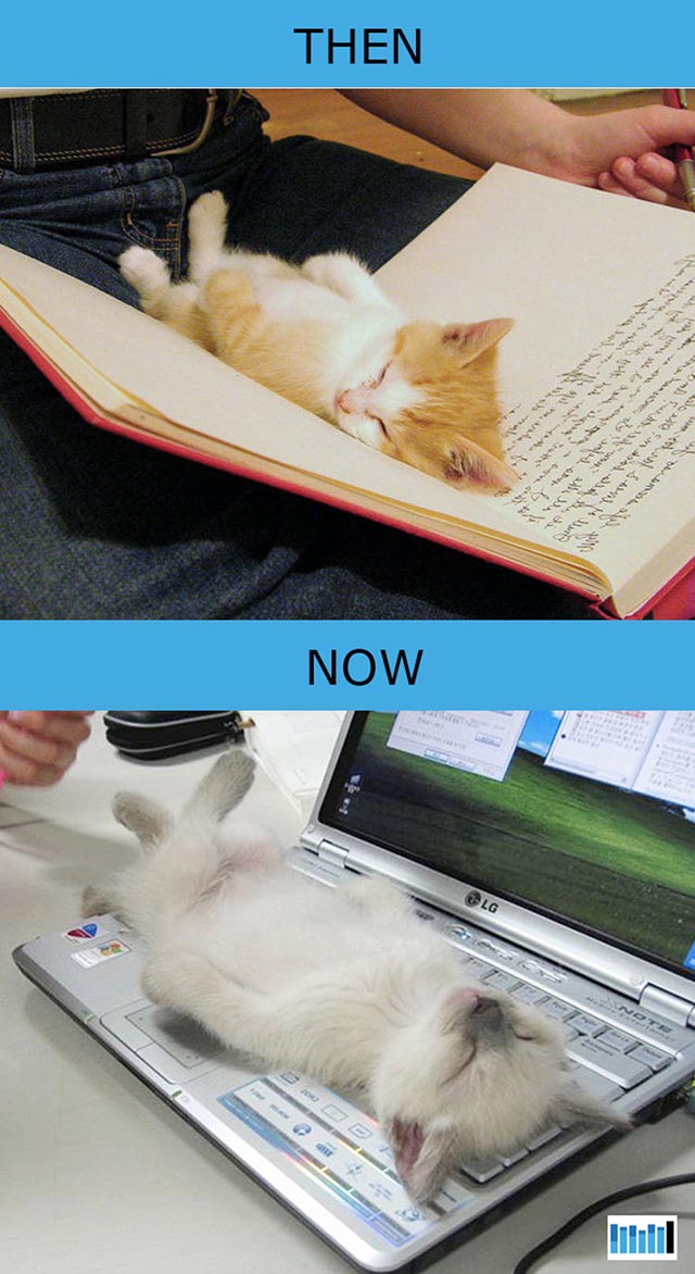 cats-then-now-funny-technology cats-then-now-funny-technology