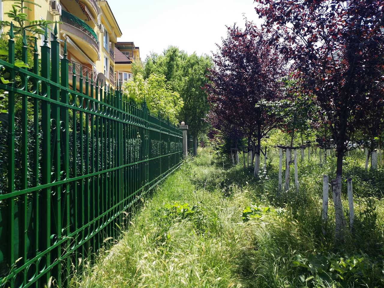 Xplay5 Elite Xplay5 Elite