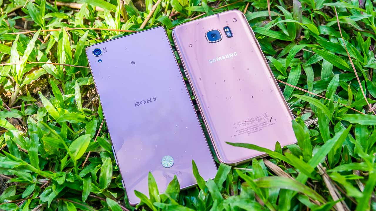 Thiết kế mặt lưng Thiết kế mặt lưng