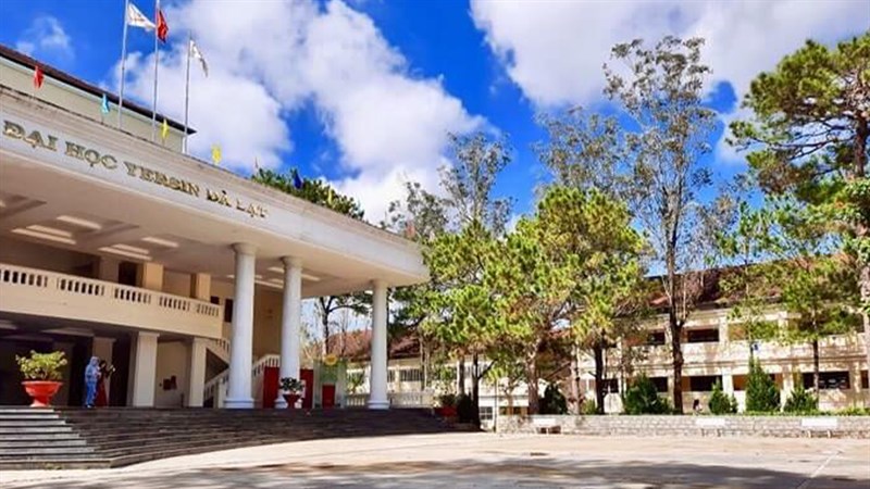 Kết quả xét tuyển học bạ Đại học Yersin Đà Lạt 2021 Kết quả xét tuyển học bạ Đại học Yersin Đà Lạt 2021