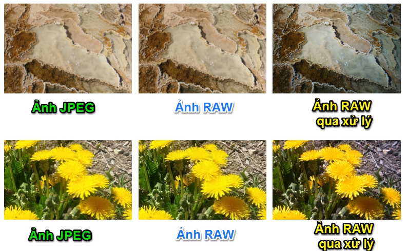 Ảnh JPEG vs RAW