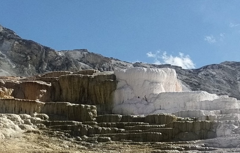 Ảnh RAW sau khi đã crop