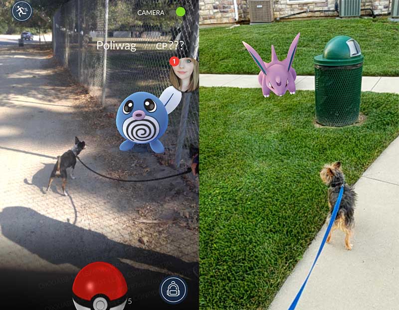 Có khi Pokémon ở ngoài đường Có khi Pokémon ở ngoài đường