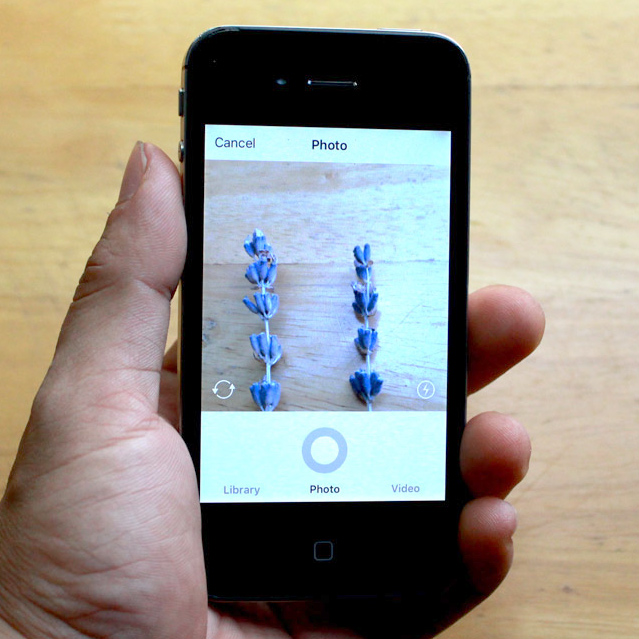 so-sanh-ung-dung-prisma-camera360-instagram