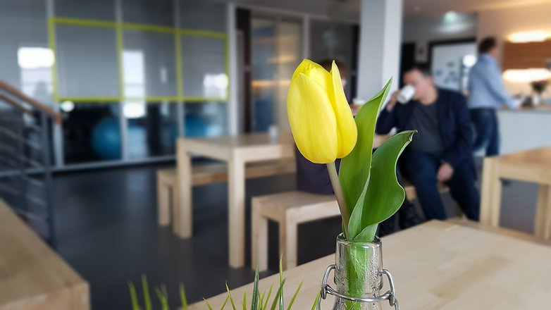 Ảnh chụp từ Galaxy S7 rõ ràng và tươi sáng