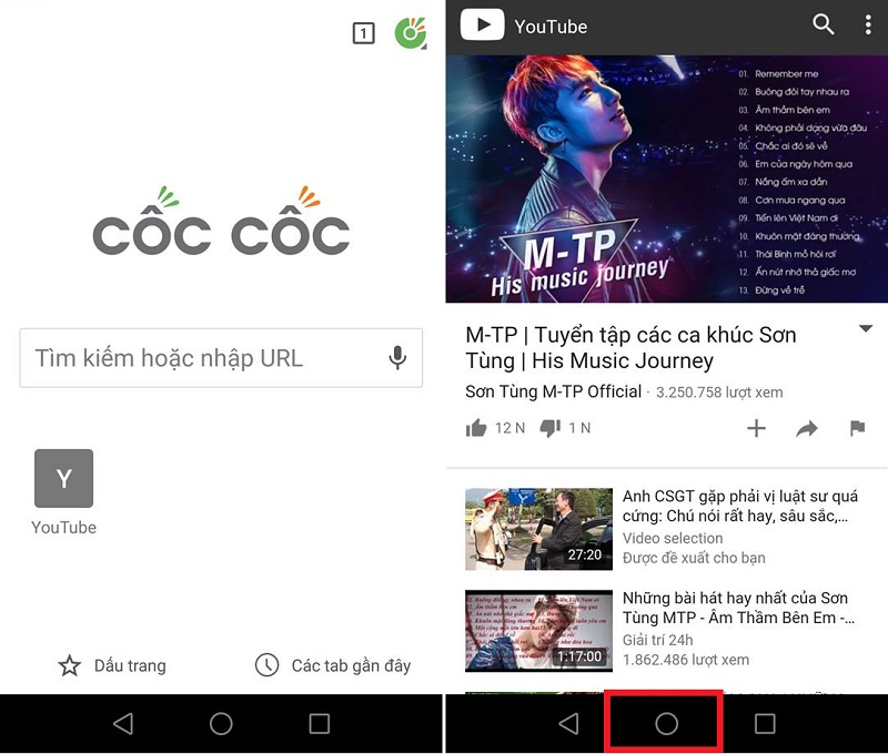 coccoc2