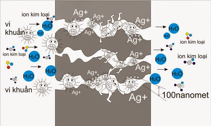 Cơ chế diệt khuẩn của ion bạc
