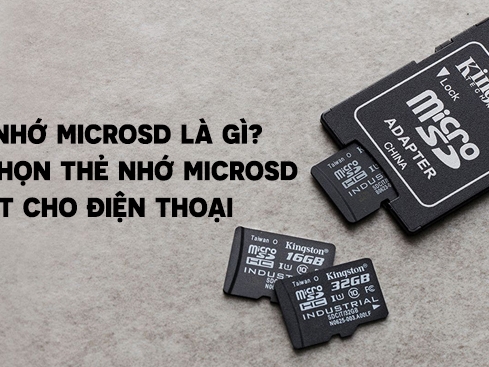 Thẻ nhớ MicroSD có lẽ là một trong những chiếc thẻ nhớ nhỏ nhất và tiện lợi nhất hiện nay. Chúng tôi cam kết mang lại cho bạn những chiếc thẻ nhớ chính hãng và đáng tin cậy nhất để bạn có thể lưu giữ và truy cập các dữ liệu cá nhân một cách dễ dàng.