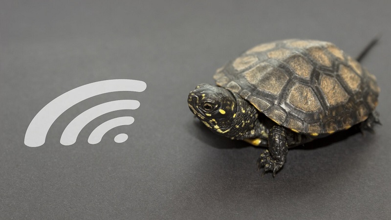 Không muốn Wifi chậm như rùa bò, bạn hãy áp dụng 10 mẹo sau!