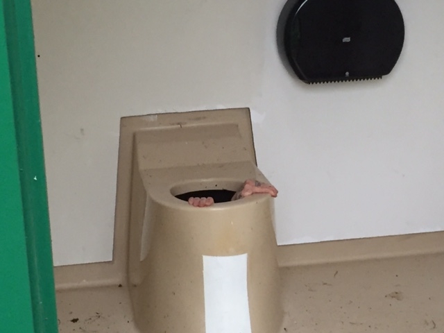 Bị… kẹt trong bể phốt toilet vì cố cứu điện thoại cho bạn Bị… kẹt trong bể phốt toilet vì cố cứu điện thoại cho bạn