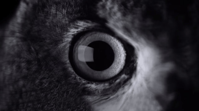 Apple tung video quảng cáo đầu tiên cho iPhone 7 Apple tung video quảng cáo đầu tiên cho iPhone 7