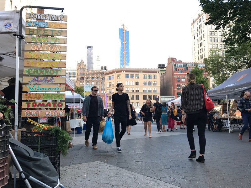  chụp ngược sáng