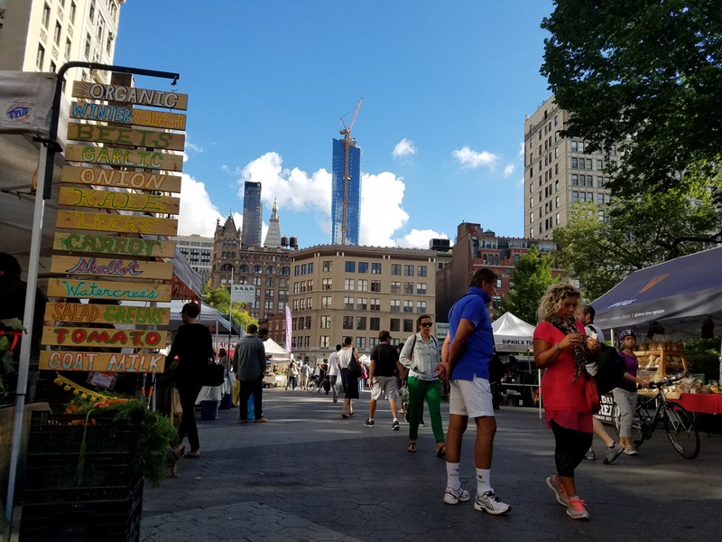  chụp ngược sáng