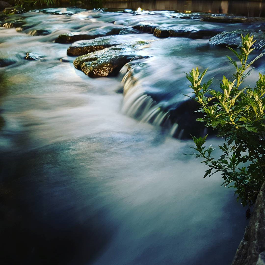 Những bức ảnh đẹp khó cưỡng được chụp từ Galaxy S7, S7 Edge