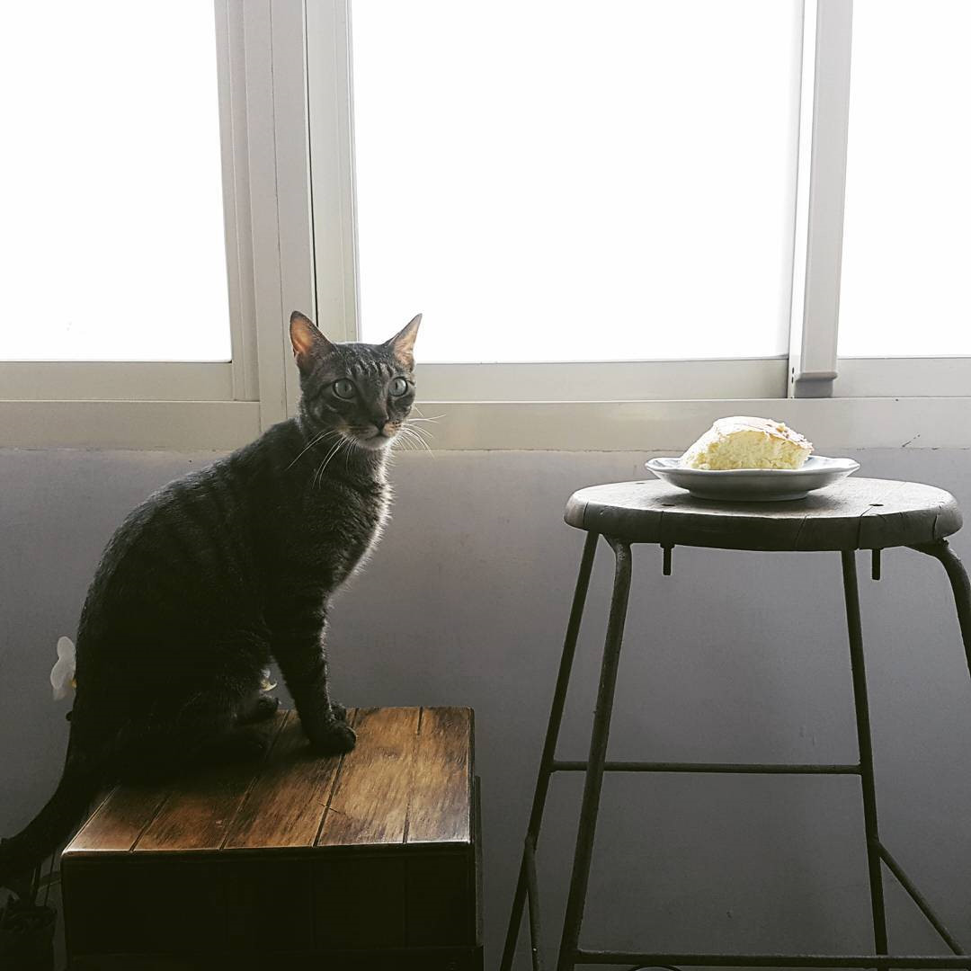 Những bức ảnh đẹp khó cưỡng được chụp từ Galaxy S7, S7 Edge