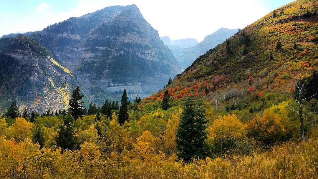 Những bức ảnh đẹp khó cưỡng được chụp từ Galaxy S7, S7 Edge