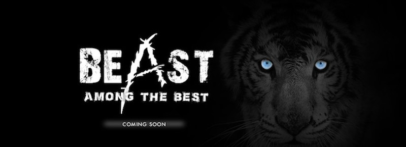 Smartphone Coolpad Smartphone Coolpad