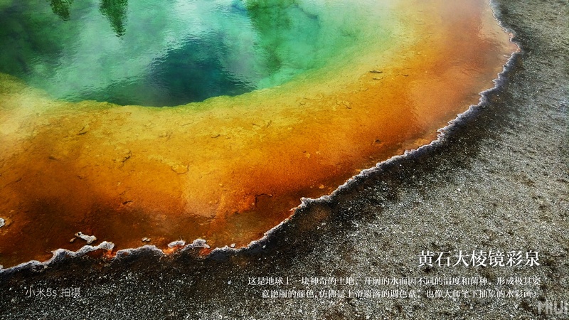 Đọ camera Mi 5s, iPhone 6s Plus và Galaxy S7 Edge: 55% chọn Mi 5s