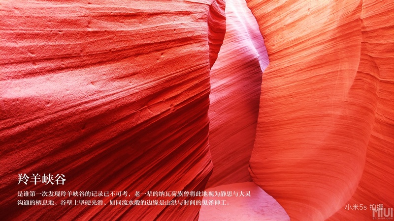 Đọ camera Mi 5s, iPhone 6s Plus và Galaxy S7 Edge: 55% chọn Mi 5s