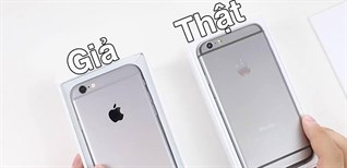 Giải đáp] Nên mua iPhone quốc tế hay chính hãng tốt hơn?