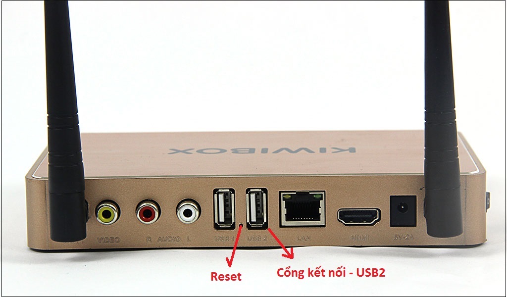Cắm USB đó vào TV box. Sau đó, cắm dây nguồn của TV box, dùng tăm ấn vào nút Reset (kí hiệu Restore hoặc Upgrade), ấn và giữ đến khi màn hình hiện lên quá trình Firmware thì bỏ tăm ra