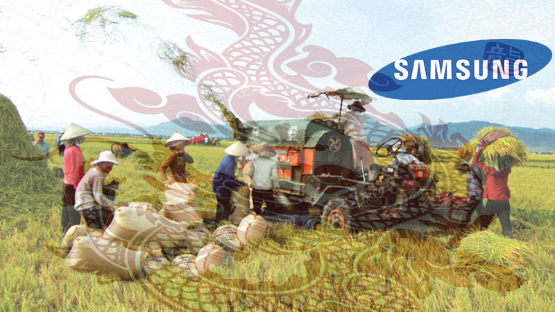 Samsung & câu chuyện giúp người nông dân Việt từ 'cá chép hoá... rồng'!