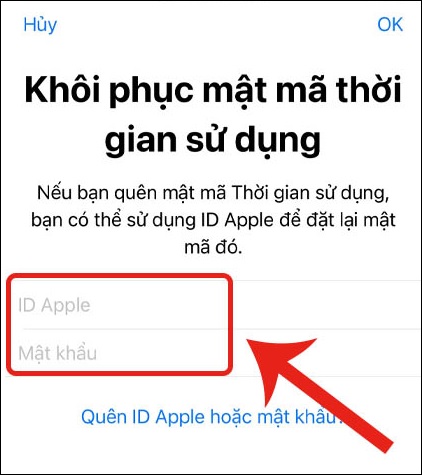 Nhập ID Apple và mật khẩu ID Apple.