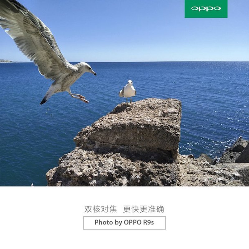 Ảnh chụp từ OPPO R9s Ảnh chụp từ OPPO R9s