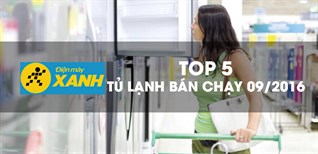 Top 5 tủ lạnh bán chạy tháng 9/2016