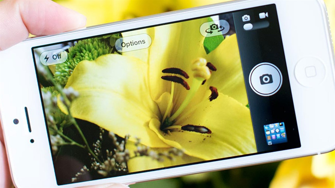 Mẹo tuần Mẹo tuần