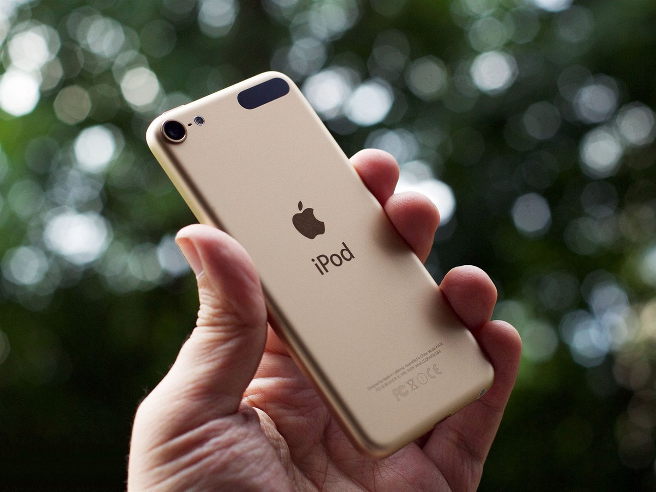iPod Touch thế hệ 6 (2015)