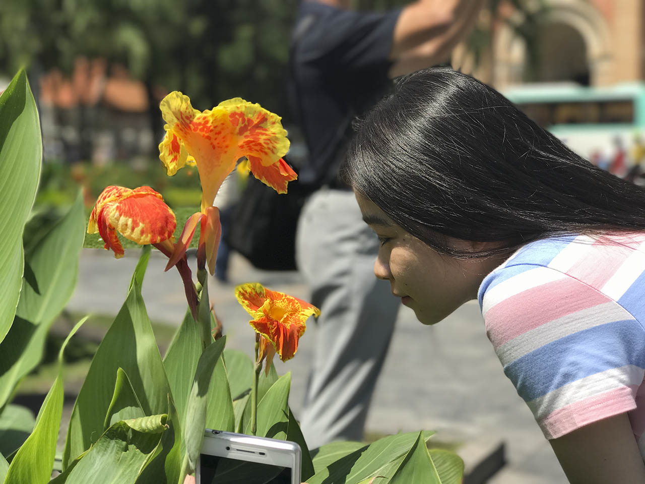 camera iphone 7 plus camera iphone 7 plus