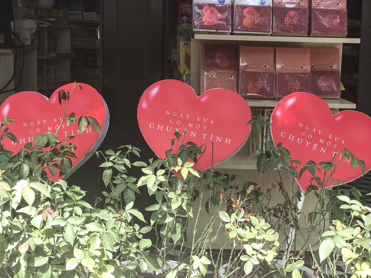 camera iphone 7 plus camera iphone 7 plus