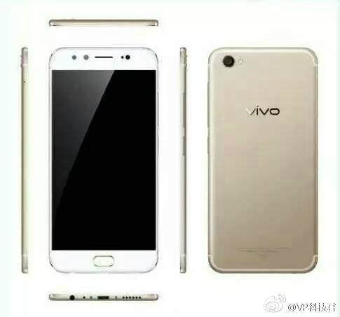 Vivo