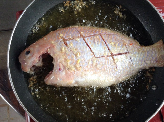 Cách rán cá giòn, không dính chảo: để chảo thật nóng mới cho cá vào